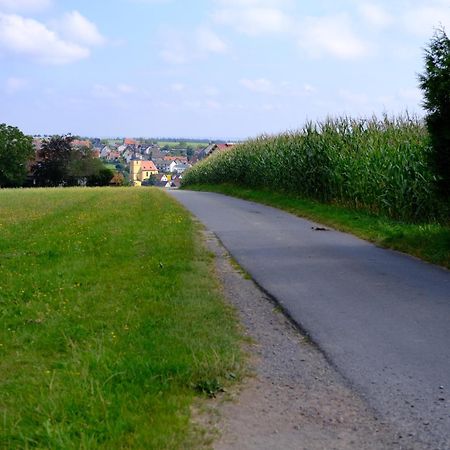 Ferienwohnung Friedrich Michelstadt Εξωτερικό φωτογραφία