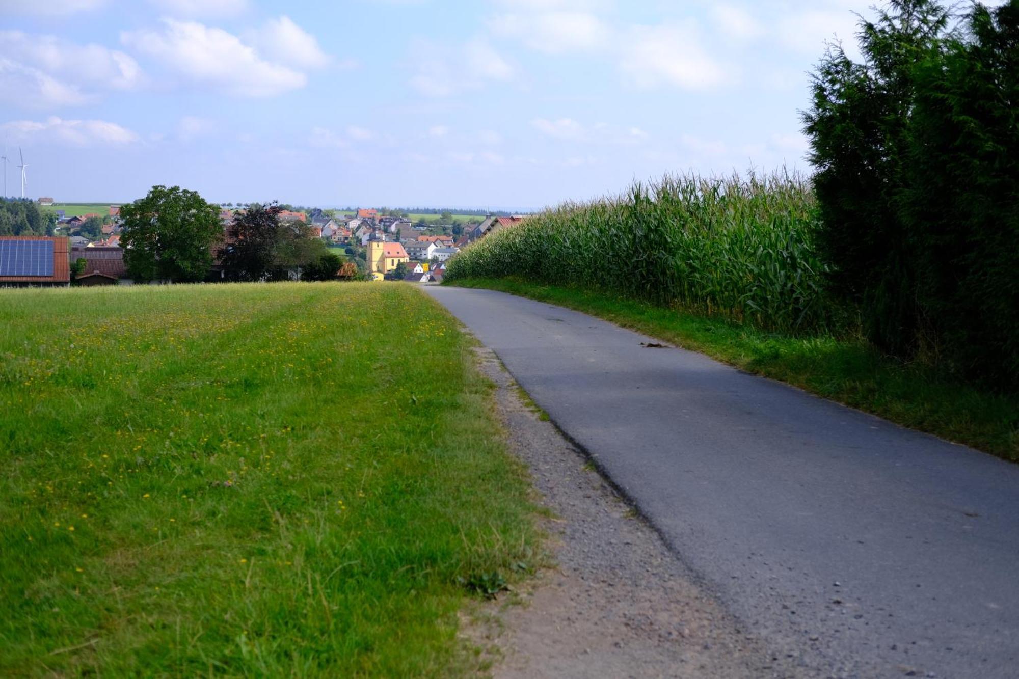 Ferienwohnung Friedrich Michelstadt Εξωτερικό φωτογραφία